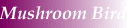 Product's Showroom,here you will find more than 100 photos of Mushromm Birds